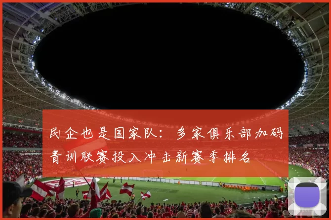 民企也是国家队：多家俱乐部加码青训联赛投入冲击新赛季排名