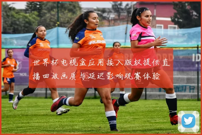 世界杯电视盒应用接入版权提供直播回放画质与延迟影响观赛体验